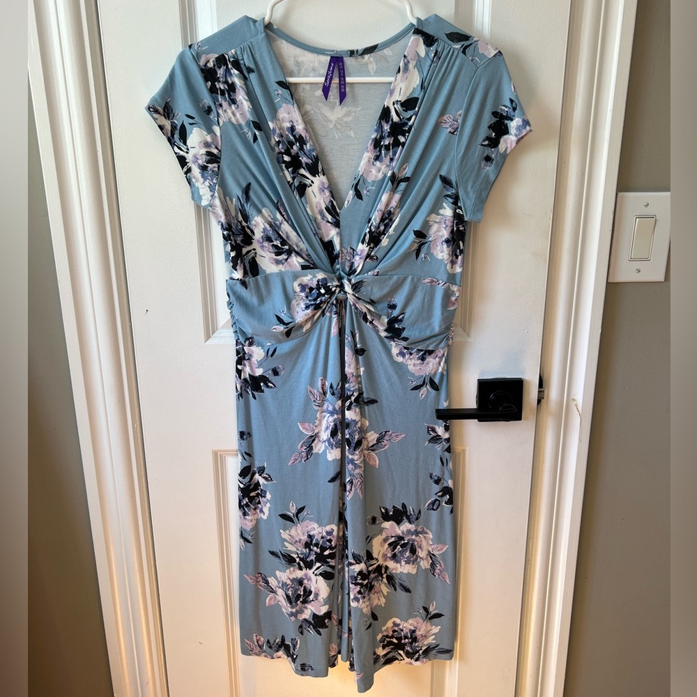 Seraphine Maternity and nursing dress, blue floral 8